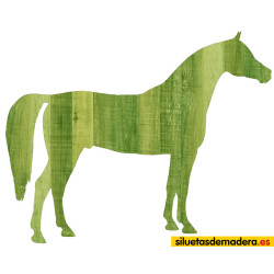 CABALLO ÁRABE 04 XL